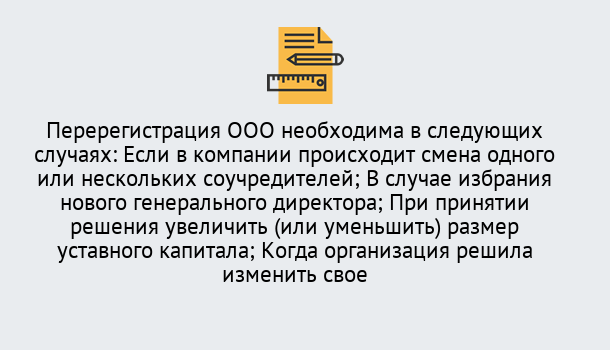 Почему нужно обратиться к нам? Всеволожск Перерегистрация ООО: особенности, документы, сроки...  в Всеволожск