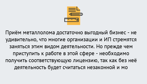 Почему нужно обратиться к нам? Всеволожск Лицензия на металлолом. Порядок получения лицензии. В Всеволожск