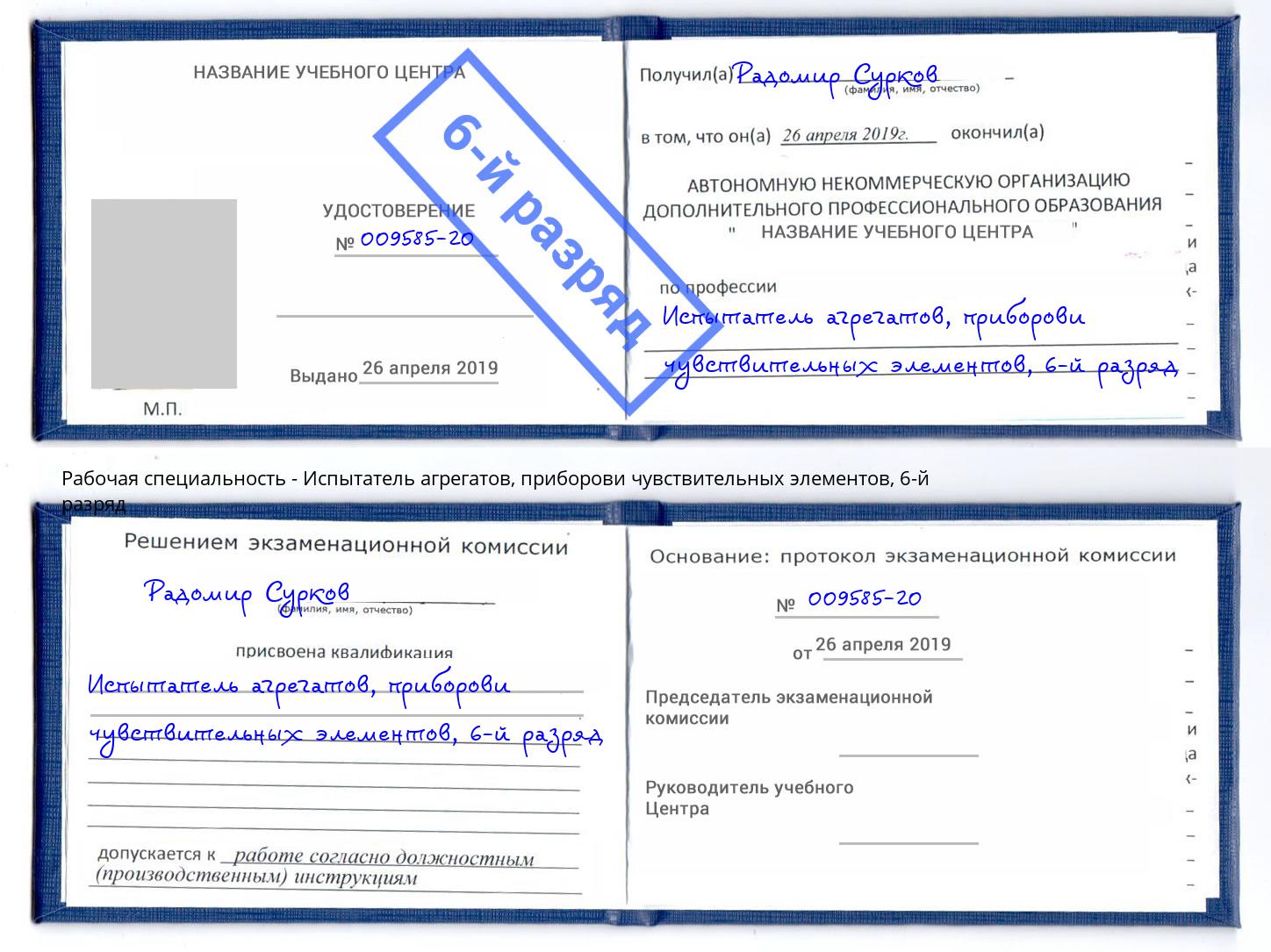 корочка 6-й разряд Испытатель агрегатов, приборови чувствительных элементов Всеволожск