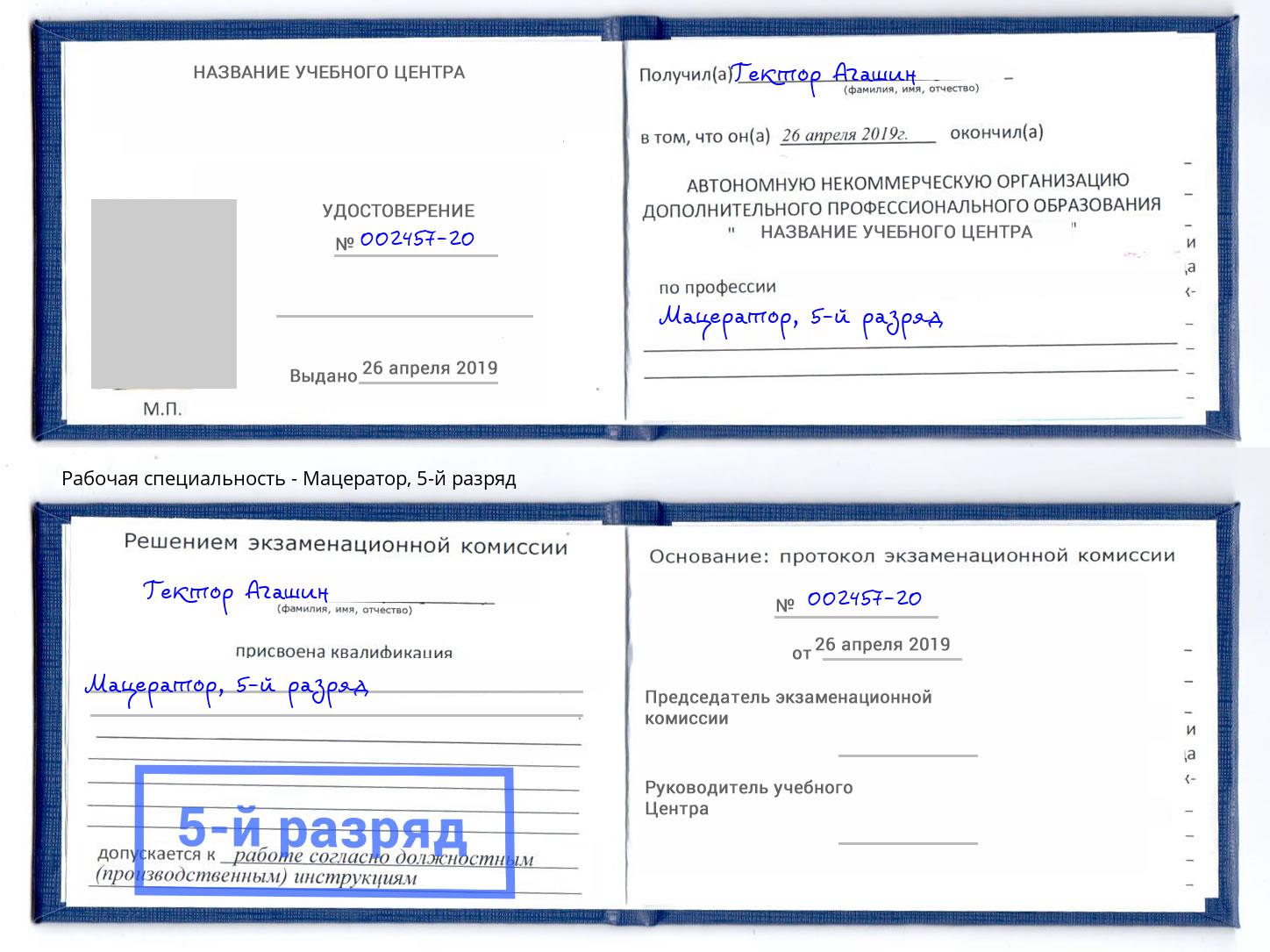 корочка 5-й разряд Мацератор Всеволожск