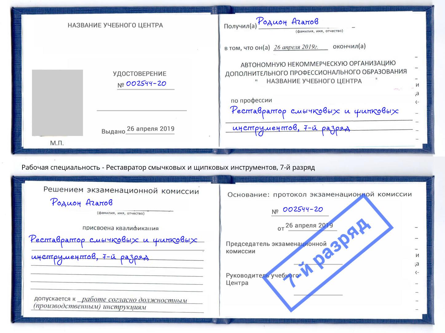 корочка 7-й разряд Реставратор смычковых и щипковых инструментов Всеволожск